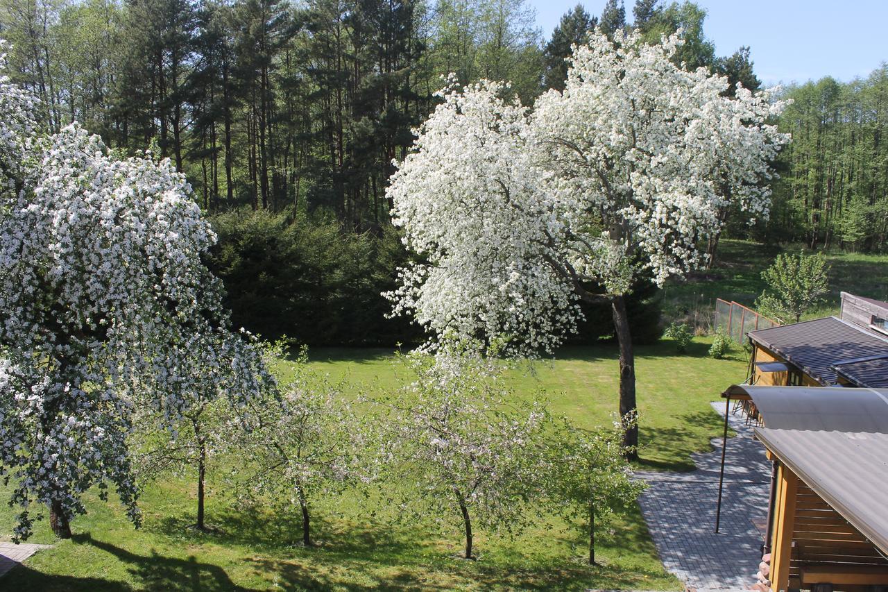 Paliepgiris Hotel Palanga Eksteriør billede